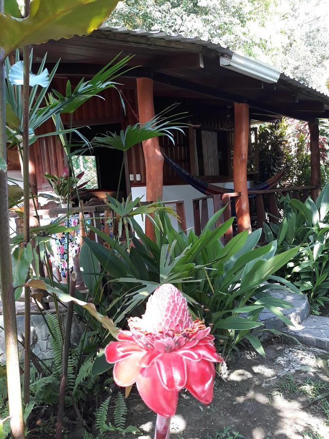 Cabinas Nirvana Ecolodge Cahuita Exterior photo