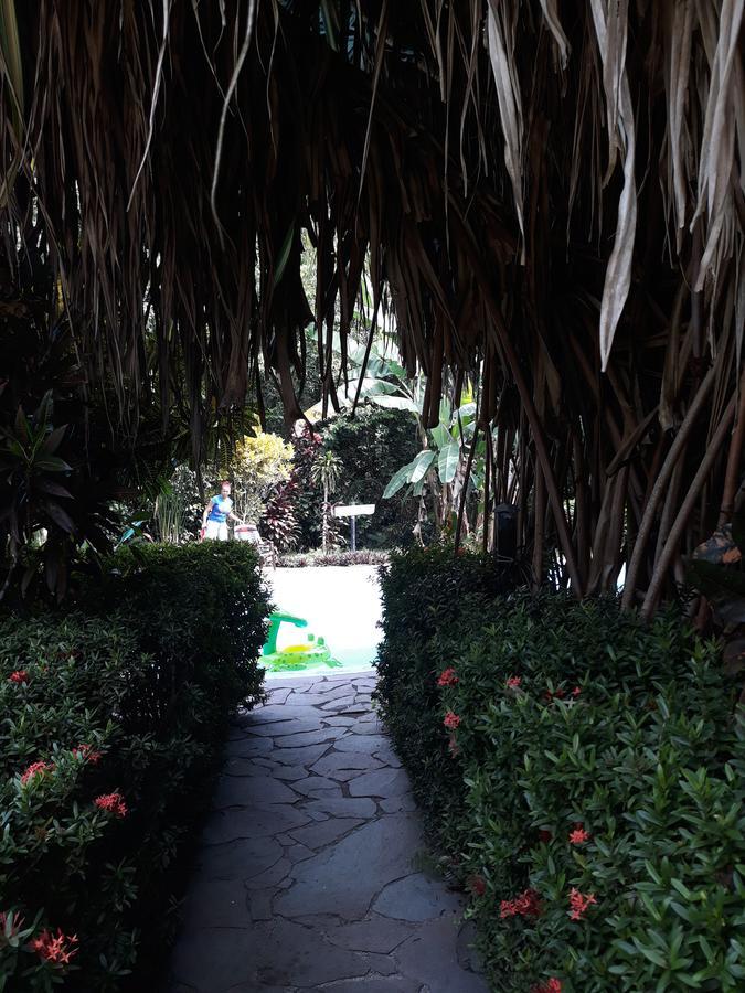 Cabinas Nirvana Ecolodge Cahuita Exterior photo