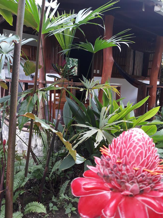 Cabinas Nirvana Ecolodge Cahuita Exterior photo