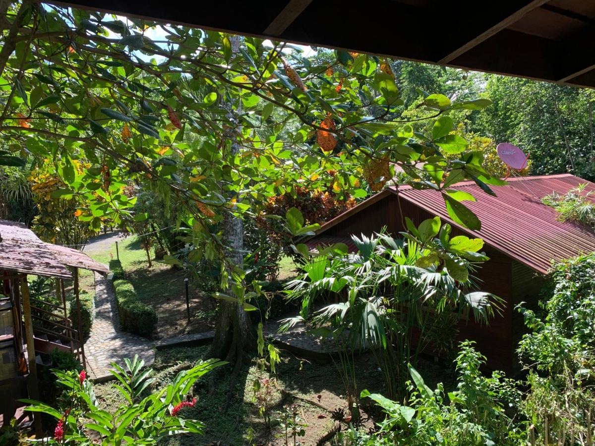 Cabinas Nirvana Ecolodge Cahuita Exterior photo